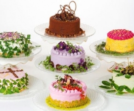 Torte